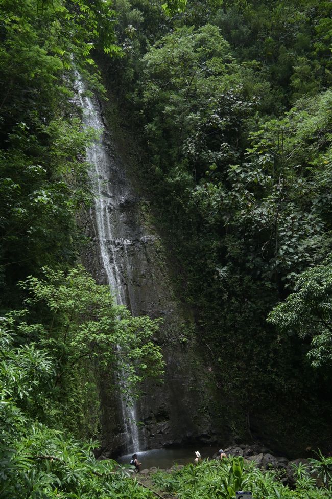 Honolulu - Sentier des chutes de Manoa