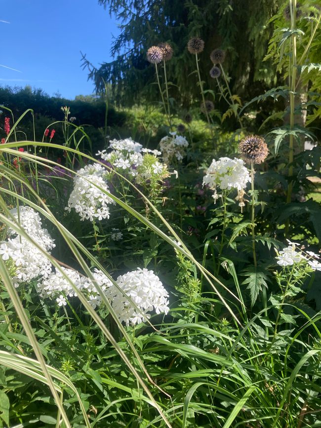 Per Rufbus durch die Ukraine