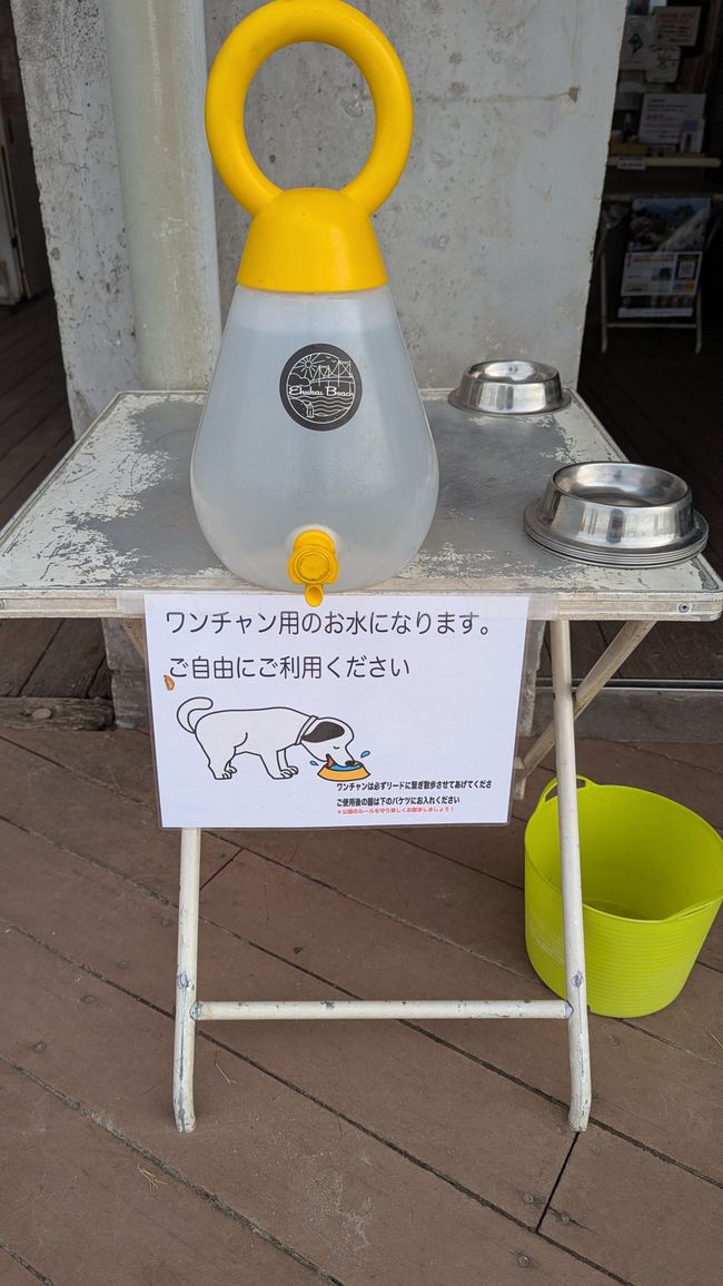 Prime impressioni di Tokyo