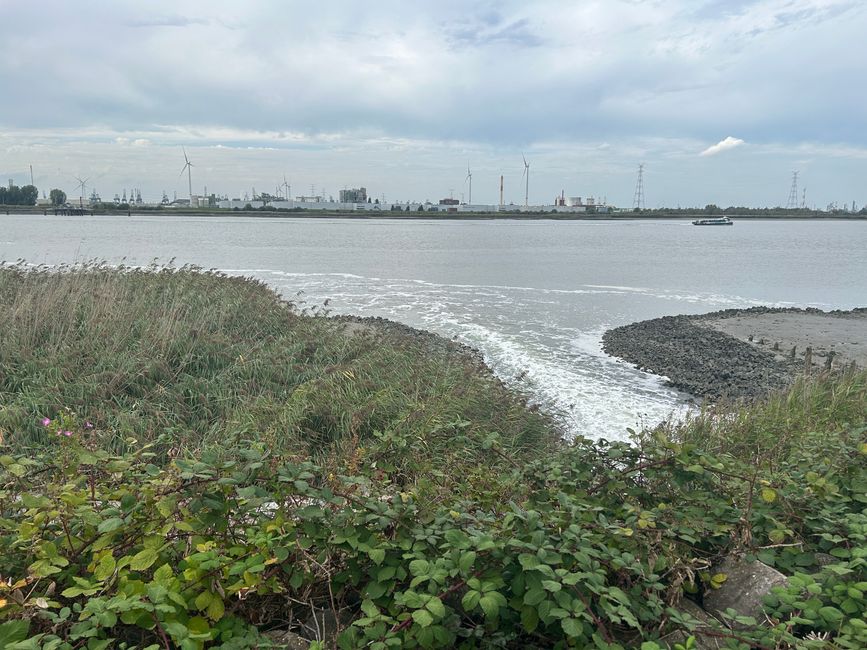 Kurz vor Antwerpen