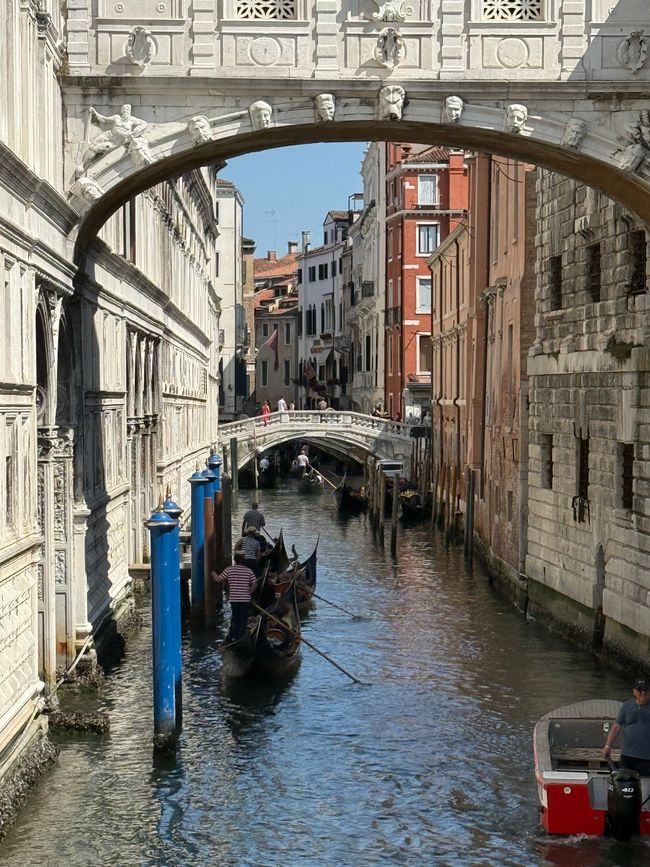 Venezia ☀️🇮🇹