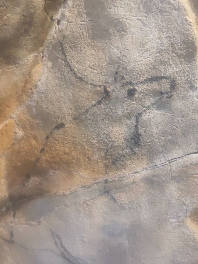rund 18.000 Jahre alt sollen die Felsmalereien sein