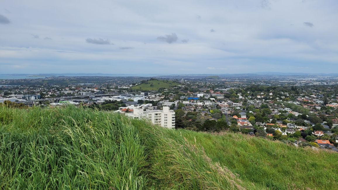 Thank the Maoris - We can visit Auckland