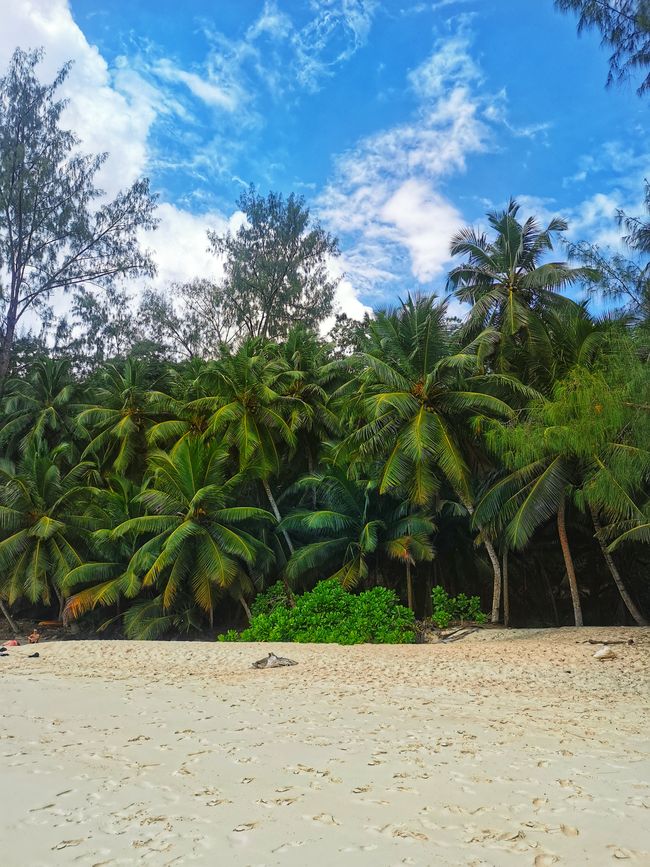 🇸🇨 Seychelles