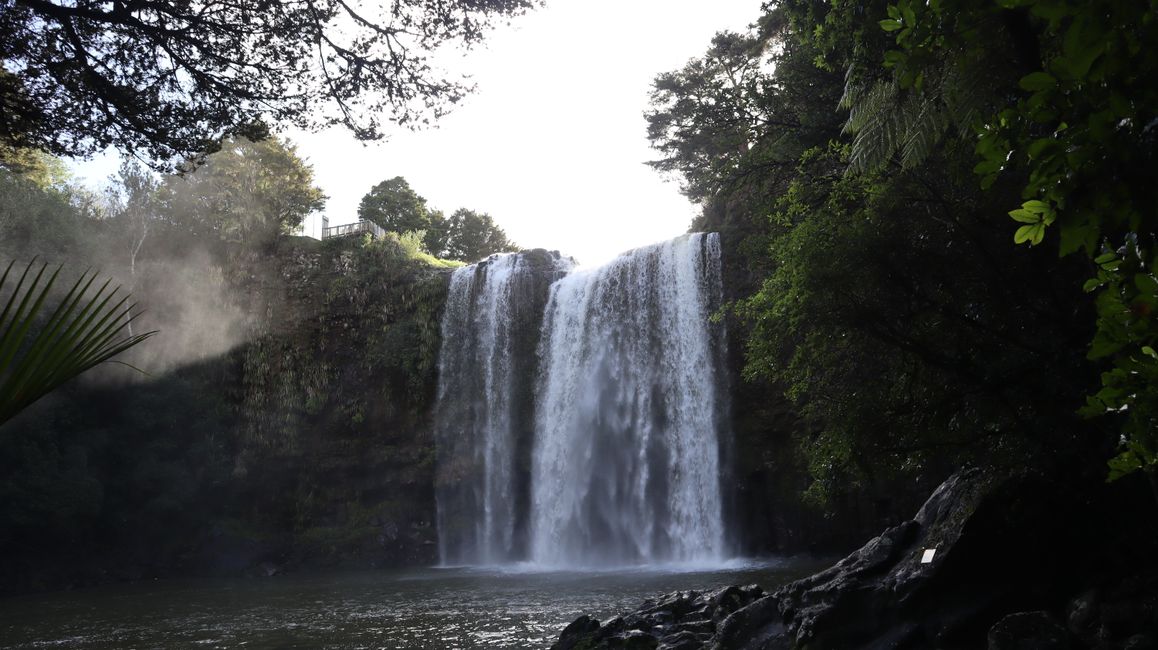 Whangarei Falls