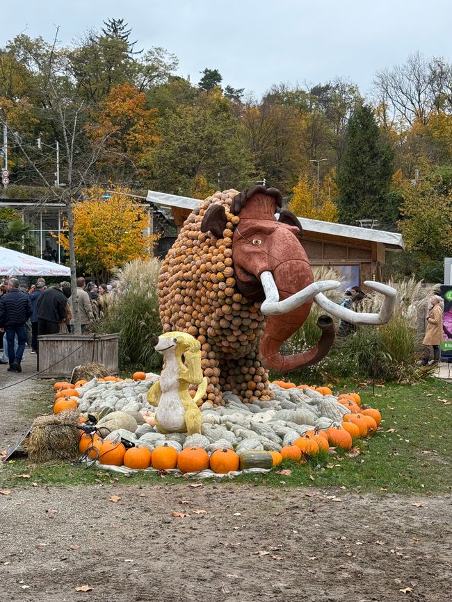 📍 Esposizione di zucche, Ludwigsburg/ 📍 Pumpkin exhibition, Ludwigsburg
