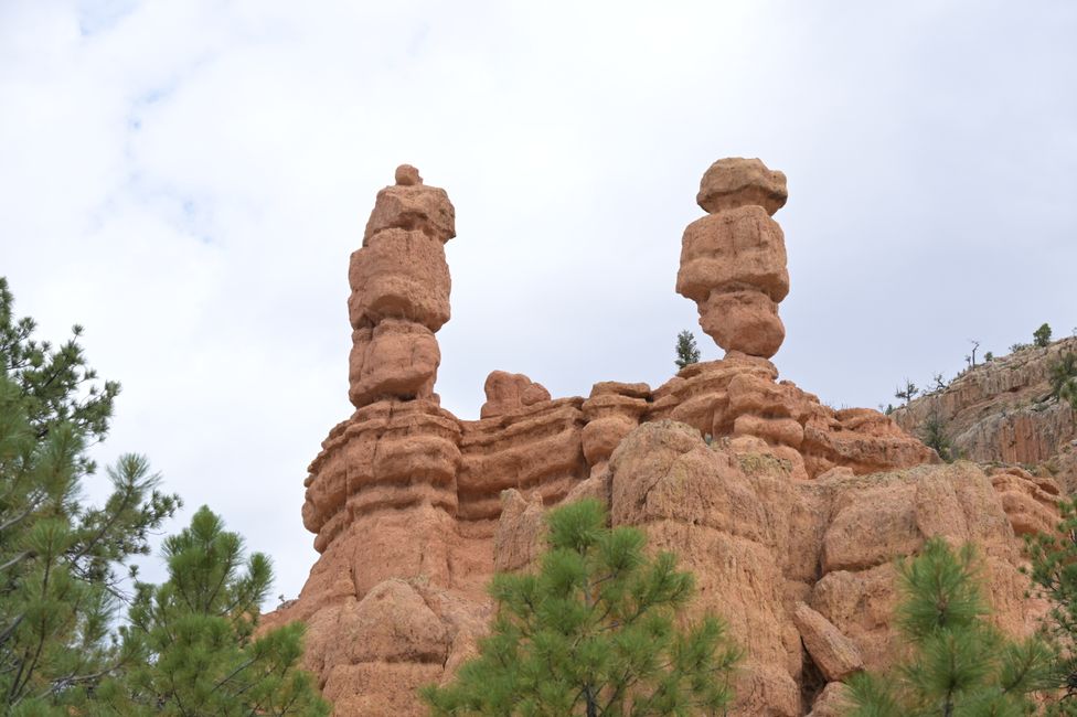 Red Canyon