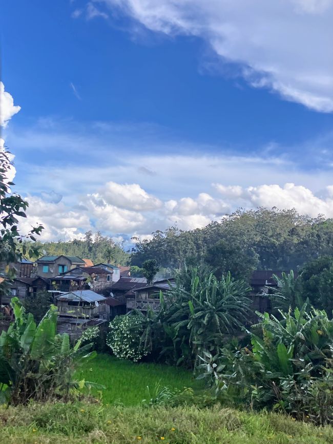 Maravilla de la naturaleza - Parque Nacional Andasibe