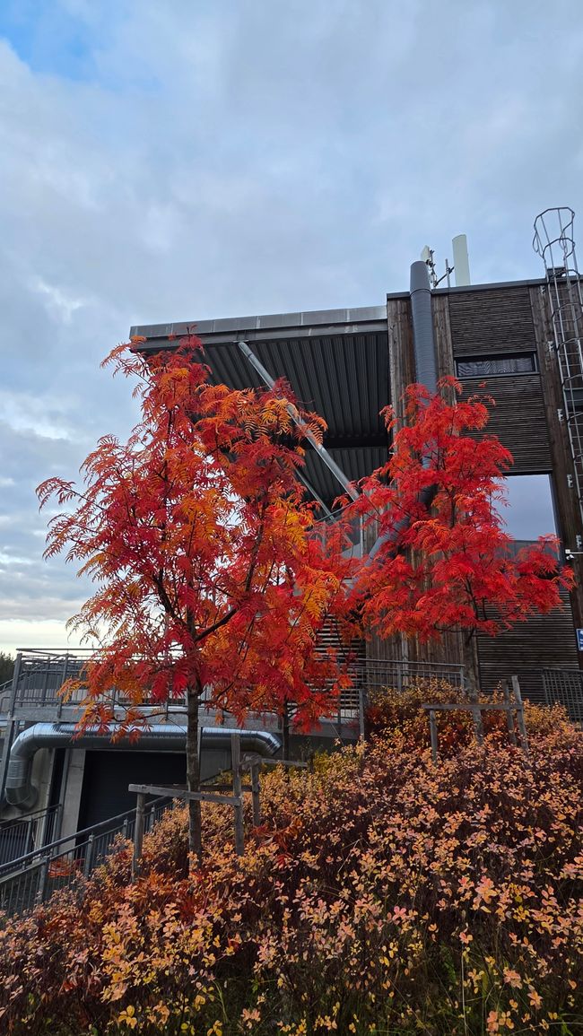 Trondheim 23-30.Oktober 2025/24.Oktober