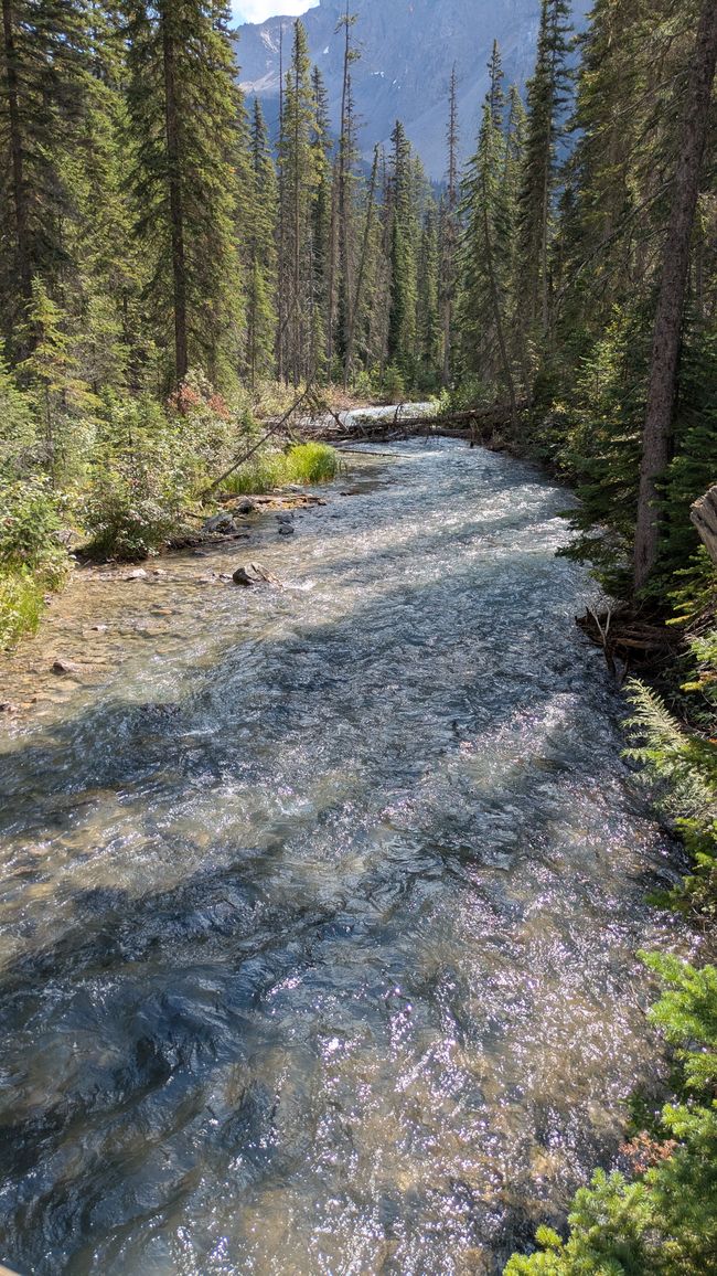 Day 7: Yoho National Park