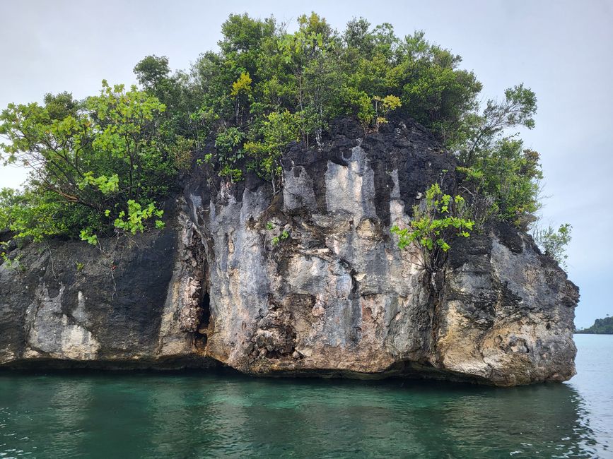 Misool, Nuova Guinea occidentale, Indonesia, escursione in Zodiac