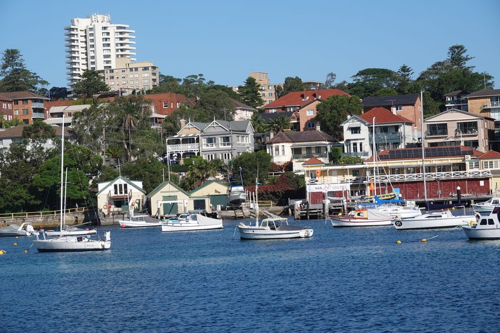 Sulle spiagge di Manly ....