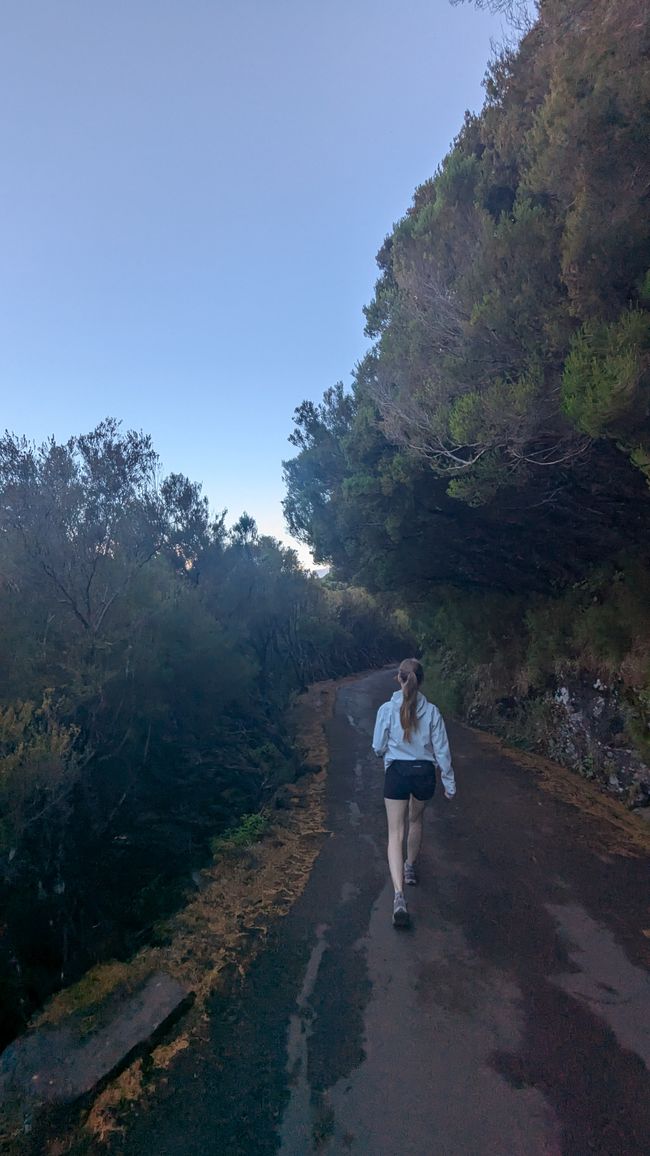 Tag 10: Levada das 25 Fontes und Risco & Feenwald