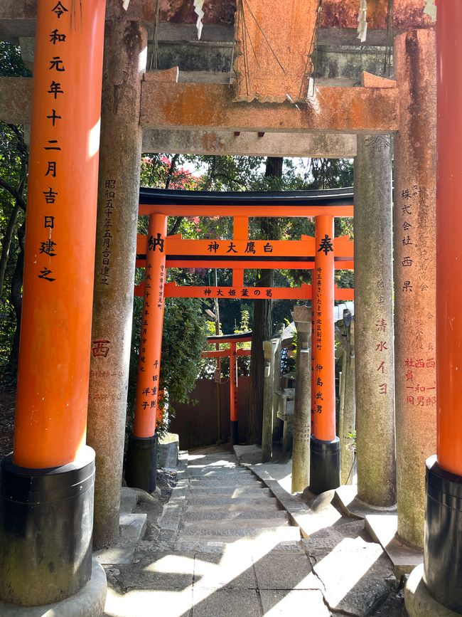 Menschenleer auf der Nebenroute
