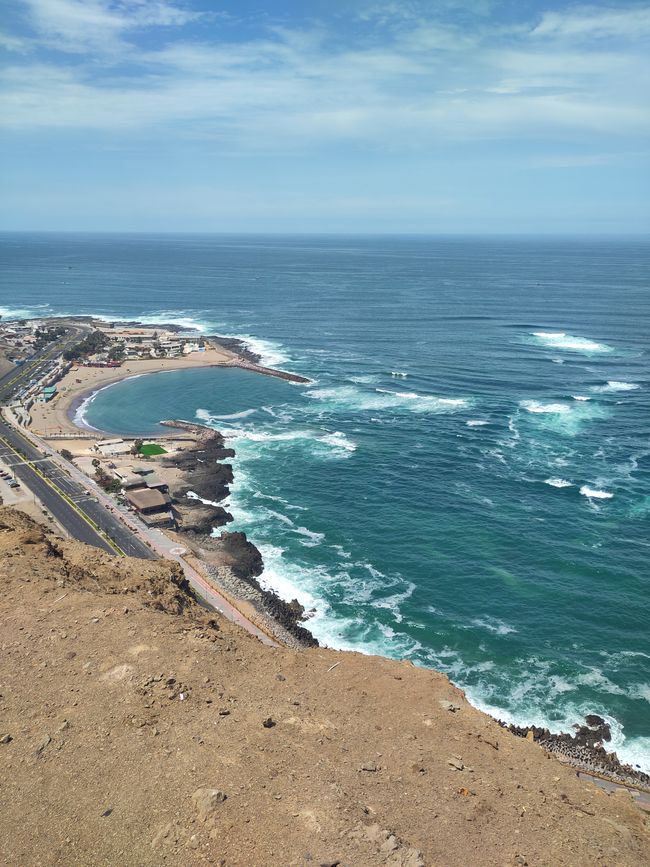 Arica (Chile): Surfen in der Wüste, liebevolle Haustiere und eindrücklicher Chungará-See 