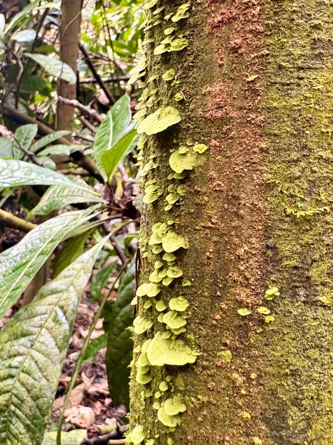 Unterwegs in Costa Rica