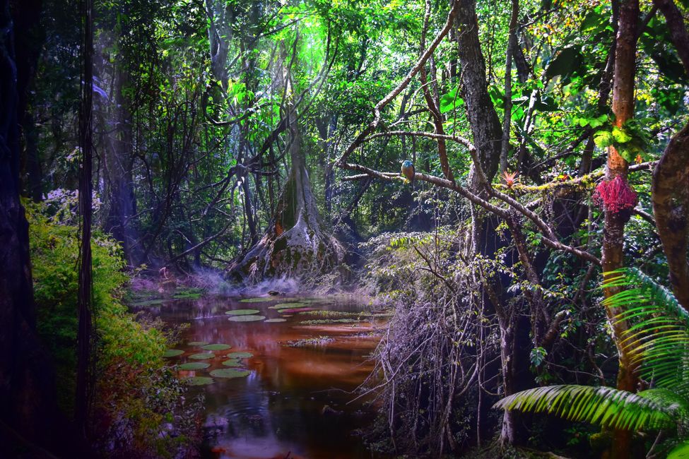 ¡AL JUNGLE! - El gasómetro de Pforzheim te transporta a la Amazonía
