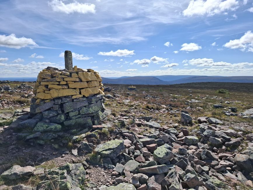 Parc national de Fulufjellet - Safari d'élans