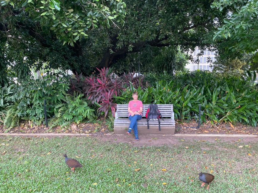 Immer wieder üppige Vegetation im Stadtzentrum 