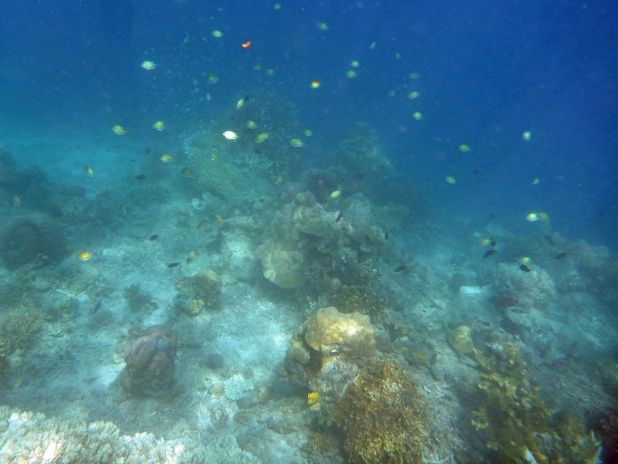 Misool, Westneuguinea, Indonesien, Insel-Ausflug