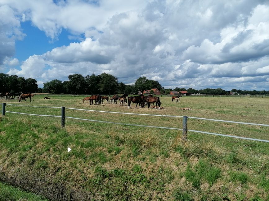 Sommer in Deutschland