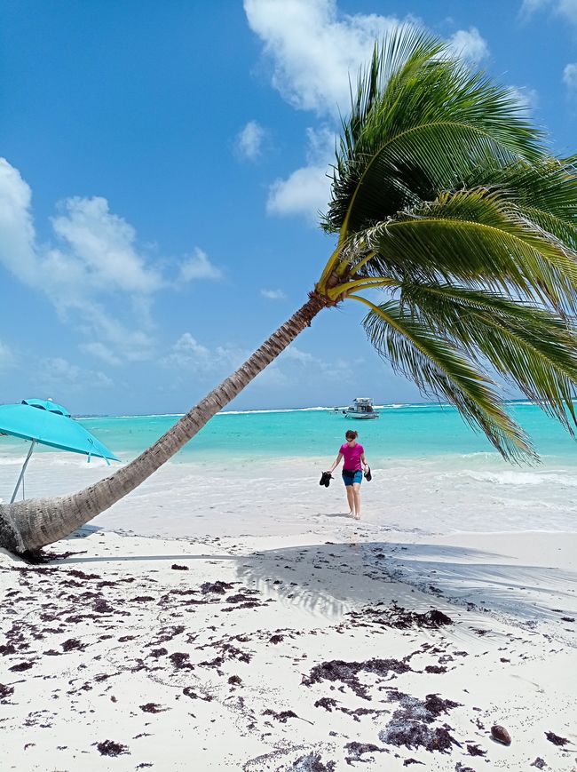 Dover Beach, a 2 km dal nostro appartamento