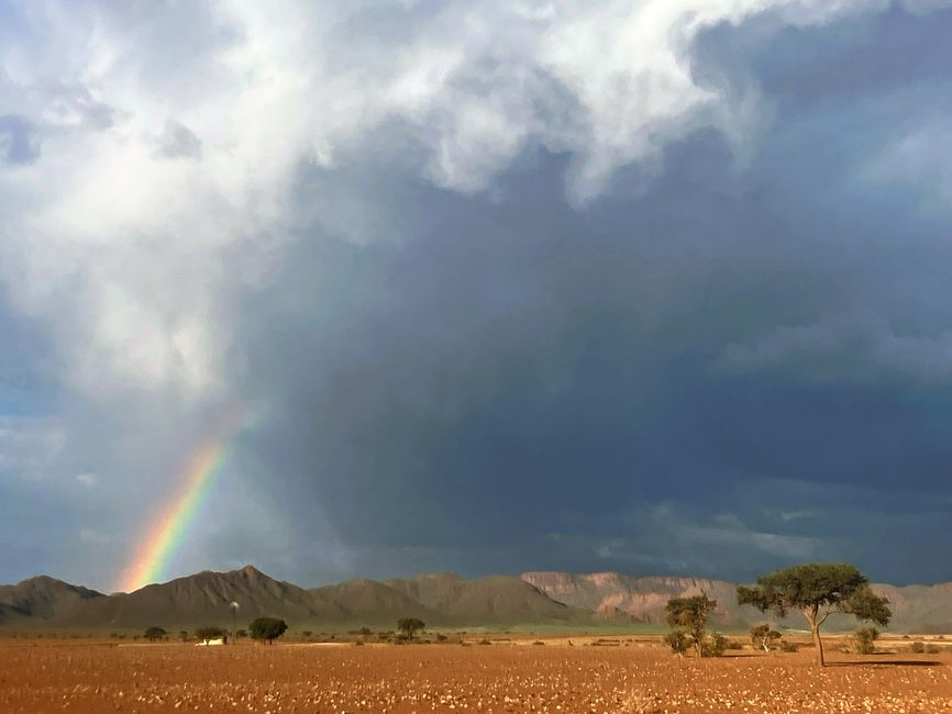 Il deserto namibiano - un mare di sabbia