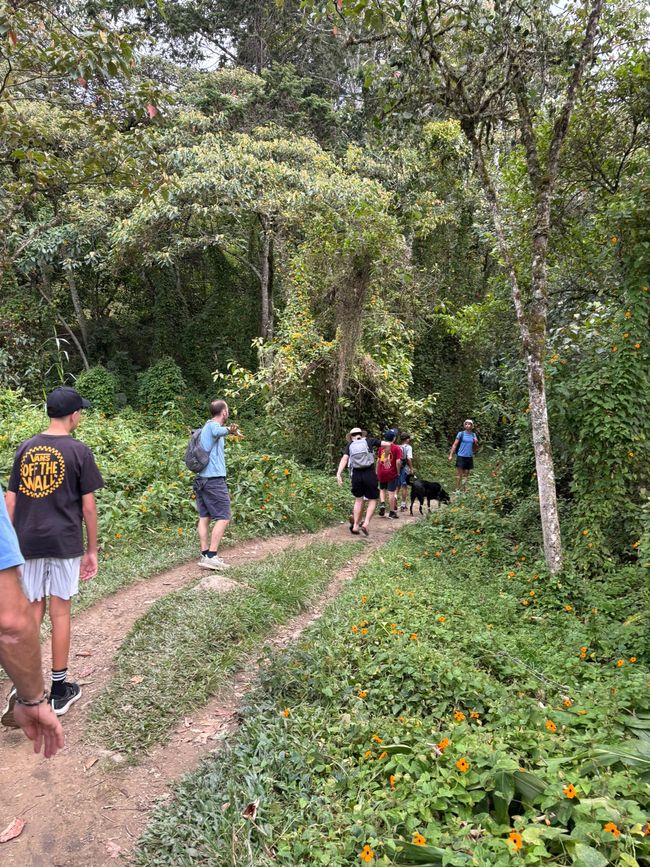 Semaine 26-28 : Au revoir, Colombie