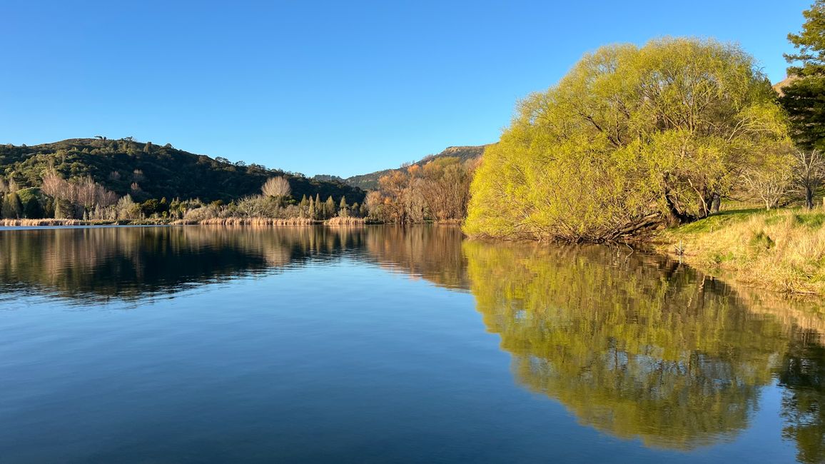 Schöner Abend am Tutira See