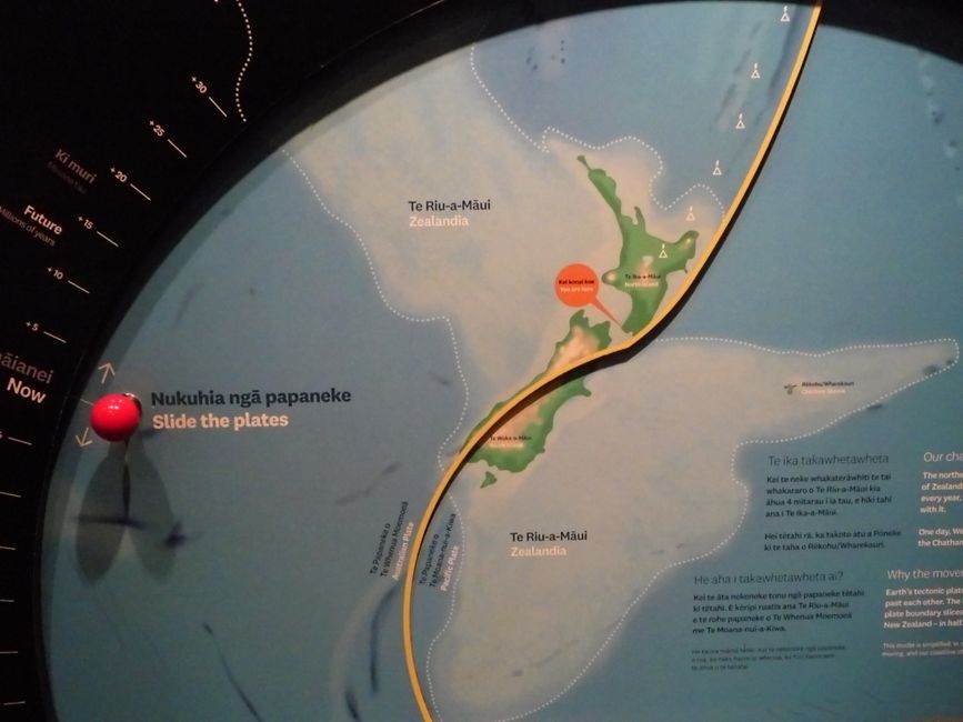 Nel museo Te Papa
