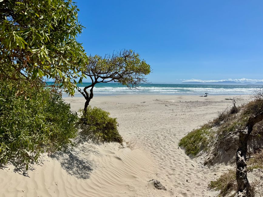 South Africa🇿🇦Week 6