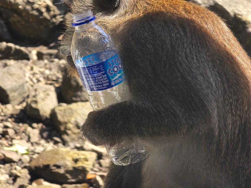 Langkawi - Reif für die Insel!