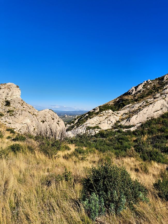 The Flavors of the Alpilles