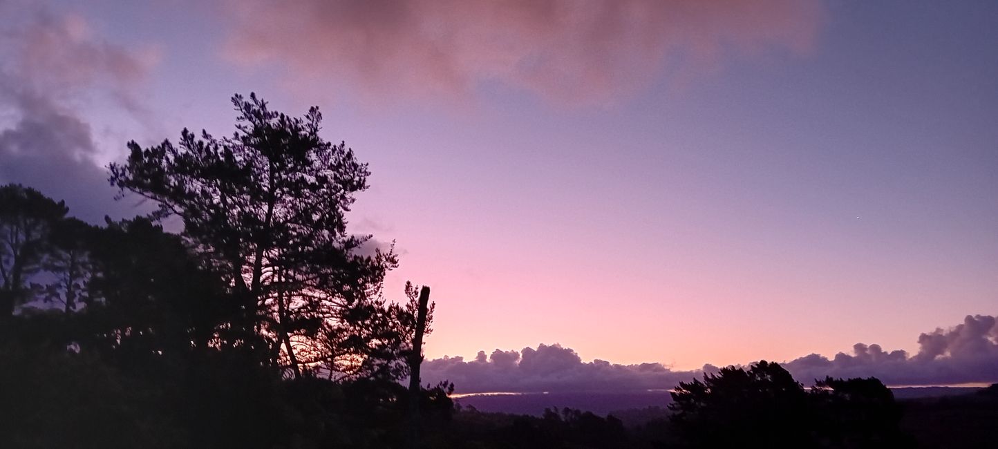 Tauranga