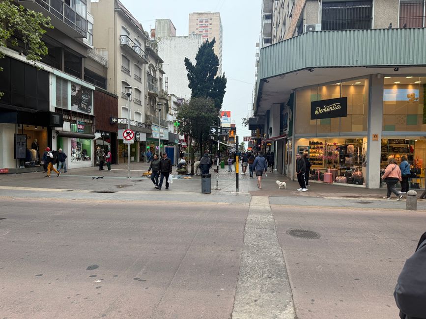 Tag 4: Mar del Plata. Un tour di esplorazione