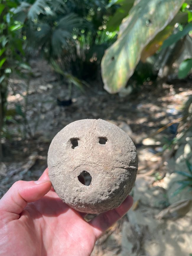 Coconut Cara