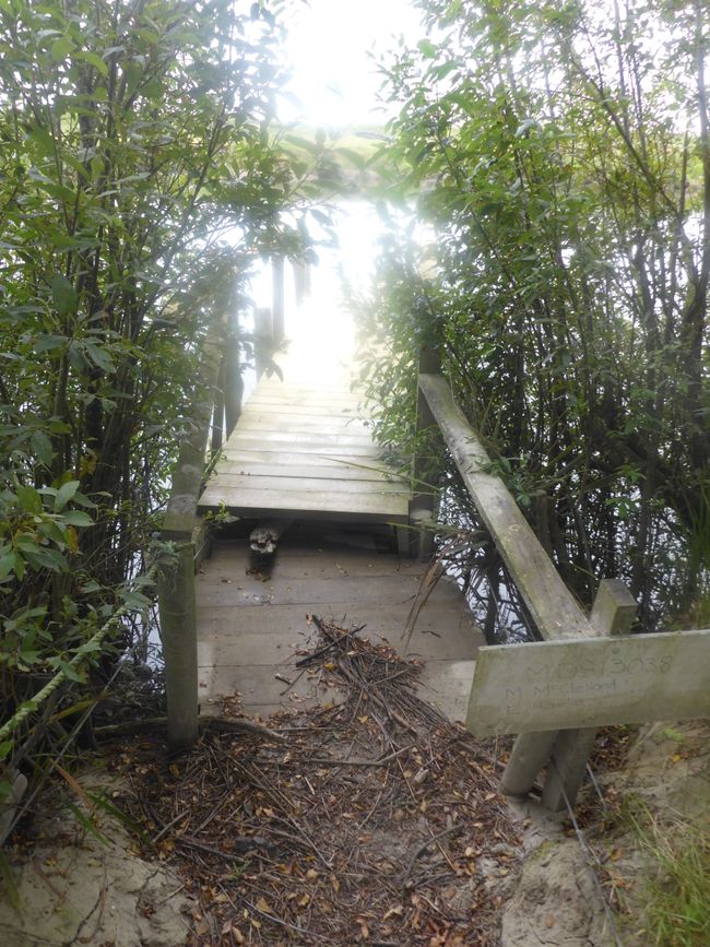Quai sur la rivière Mataura