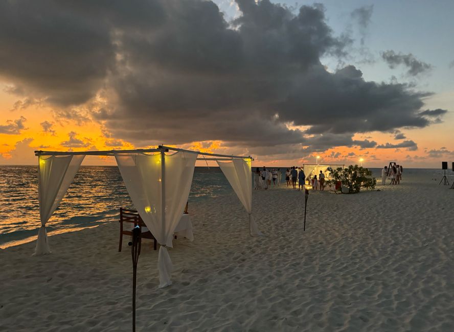 10 Días en Thundufushi - Un Viaje a Través de Aguas Azules, Jardines de Coral y Momentos de Quietud