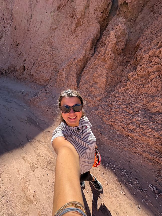 Désert d'Atacama 🦙🦩🌵
