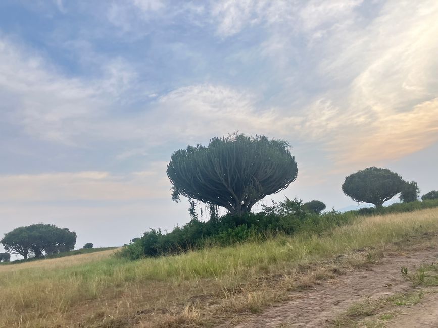 Queen Elizabeth Nationalpark