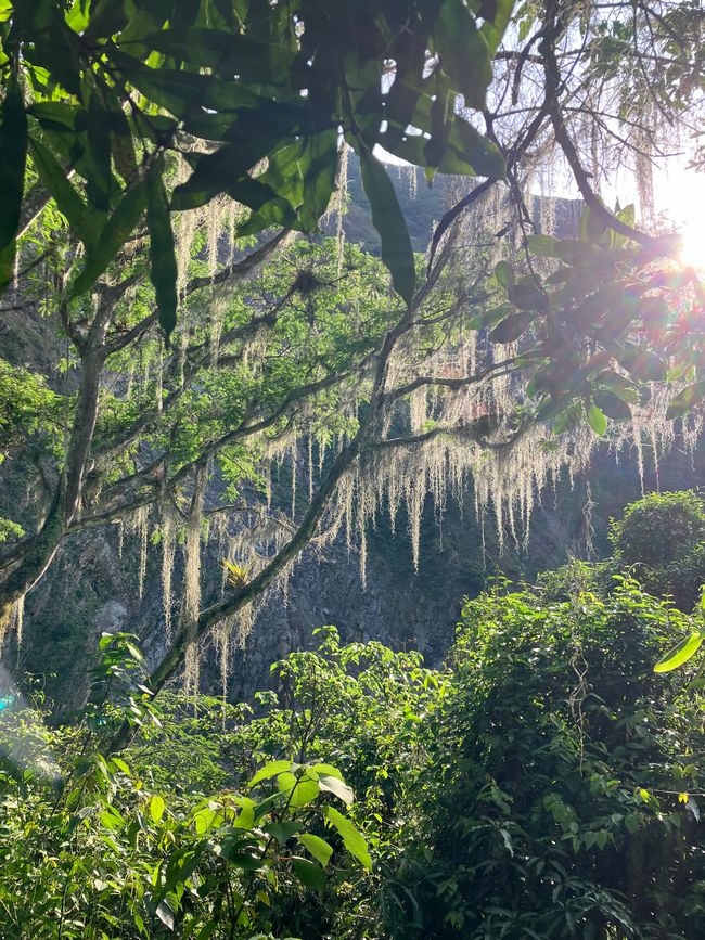Machu Picchu - Dschungel-Abenteuer