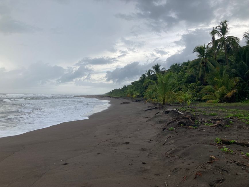 Tortuguero
