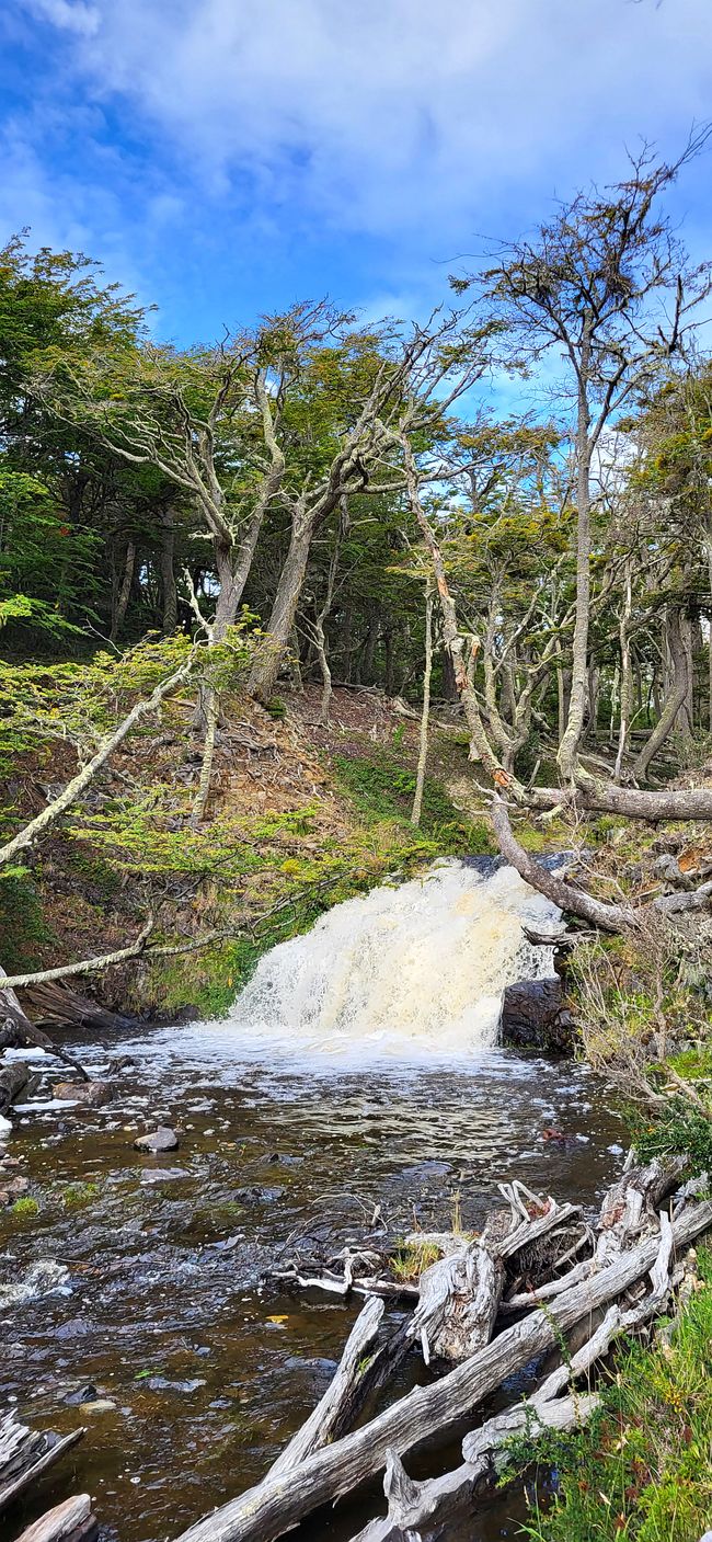 Puerto Williams, Insel Navarino