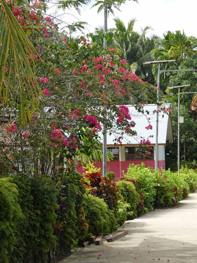 Solar-LED-Strassenlampen