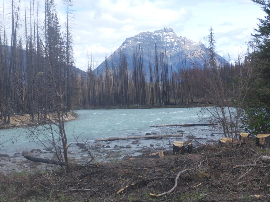 Au Whirlpool River