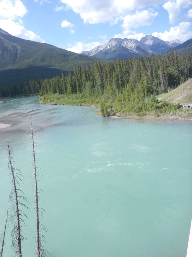 2025-06-30 Bow Parkway verso Banff