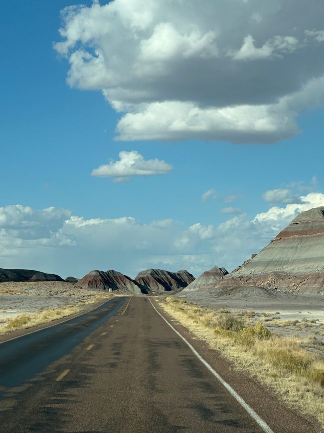 Arizona/ New Mexico/ Petrified Forest/ White Sands