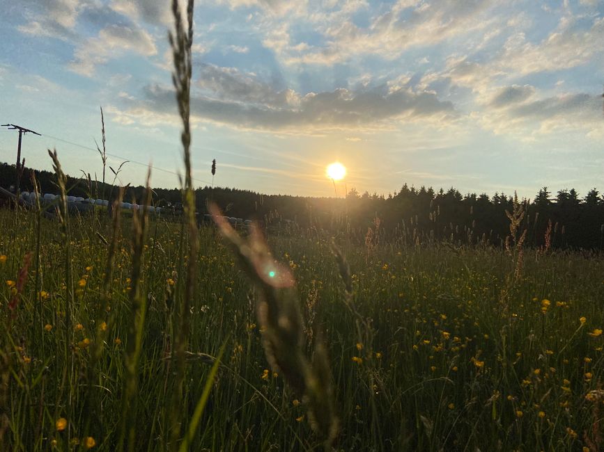 Kurztrip nach Wallersheim in der Vulkaneifel