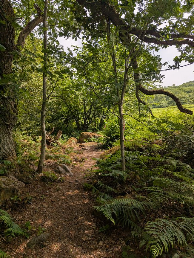 Wandern im Peak Distrikt