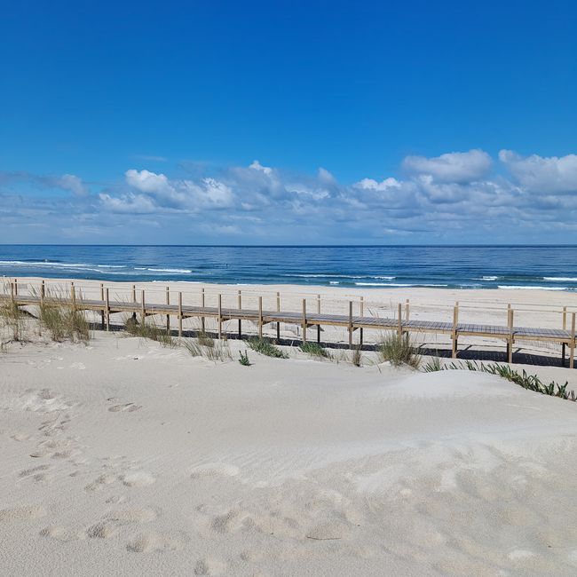 Aveiro -> Praia da Costa Nova